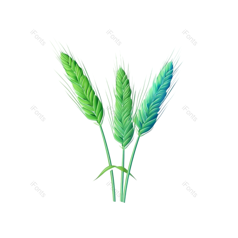装饰图片,芒种元素,元素PNG,小满免抠素材